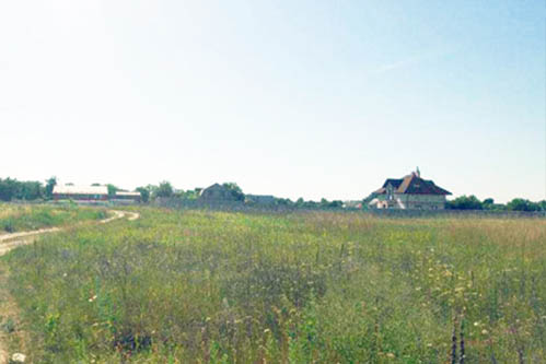 Продажа участка в Киевской области село Селичевка